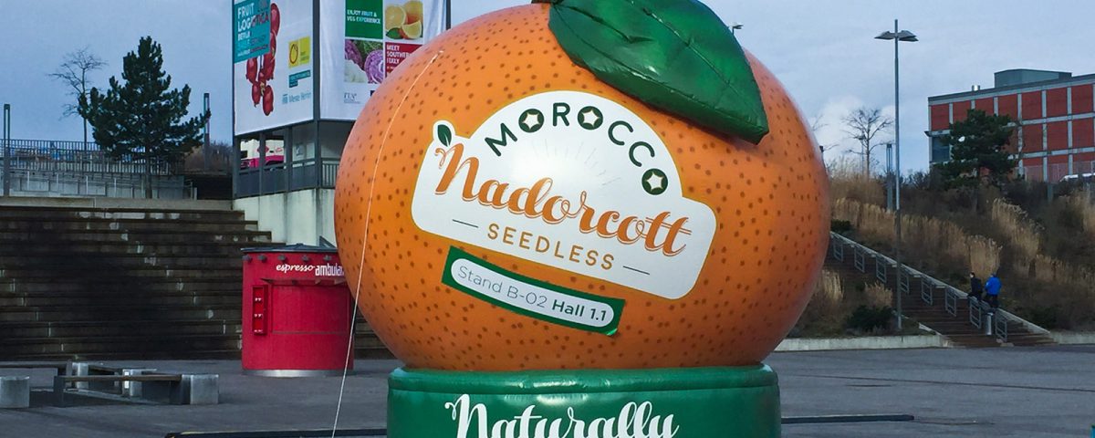 Dieses Kaltluft-Display haben wir in Form einer Mandarine gestaltet. Bei Sonderformen sind der Phantasie so gut wie keine Grenzen gesetzt.